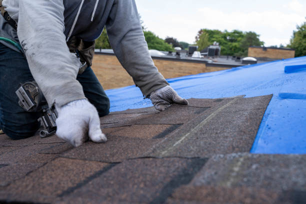 Best Shingle Roofing Installation  in Johnsburg, IL